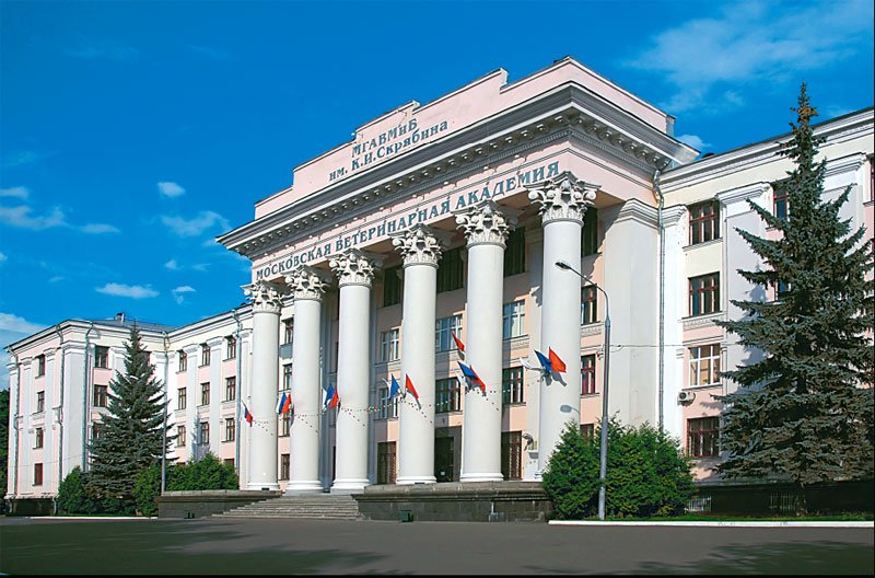 Кейс Разработка автоматизированной системы управления финансовой деятельностью и кадровым учетом в МГАВМиБ – МВА имени К.И. Скрябина