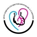 Национальный медицинский исследовательский центр сердечно-сосудистой хирургии имени А. Н. Бакулева